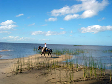 Uruguay-Uruguay-Laguna Negra Estancias Ride